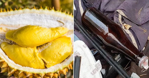 0673d980 bfea 4033 bc11 cac3805748e8