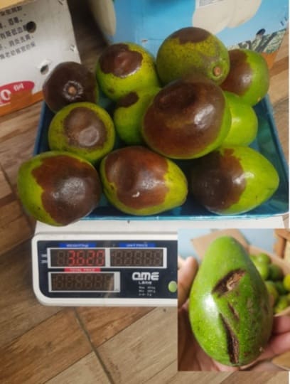 Hati-hati, Kemiskinan Itu Berulang!