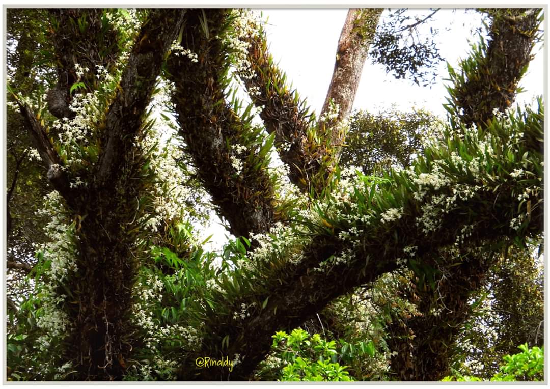 FB IMG 1574773663516