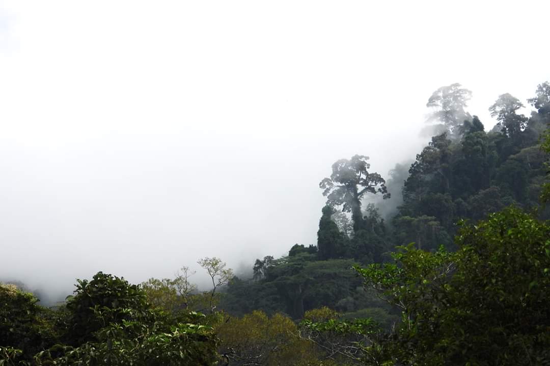 FB IMG 1574773670686