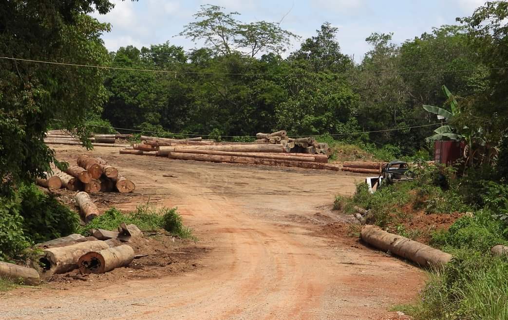 FB IMG 1574773676290