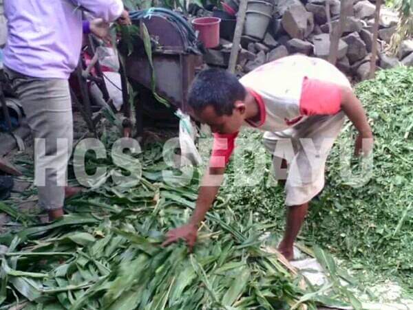 FB IMG 1575378465879