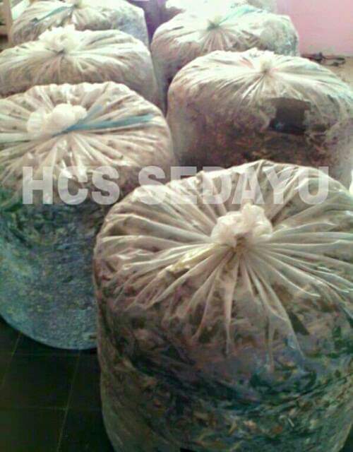 FB IMG 1575378473309