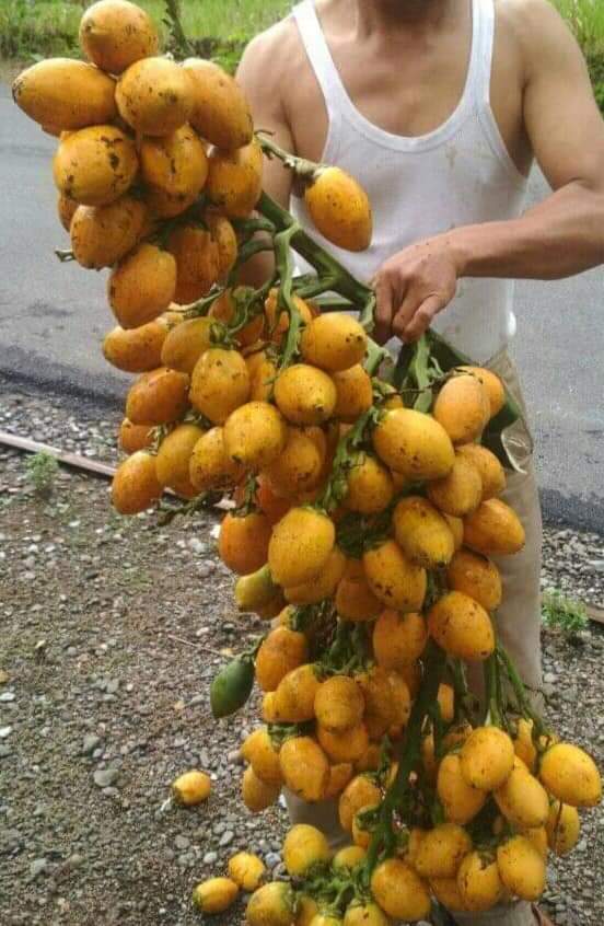 FB IMG 1576889267331