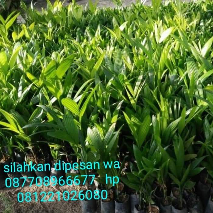 FB IMG 1576889274353