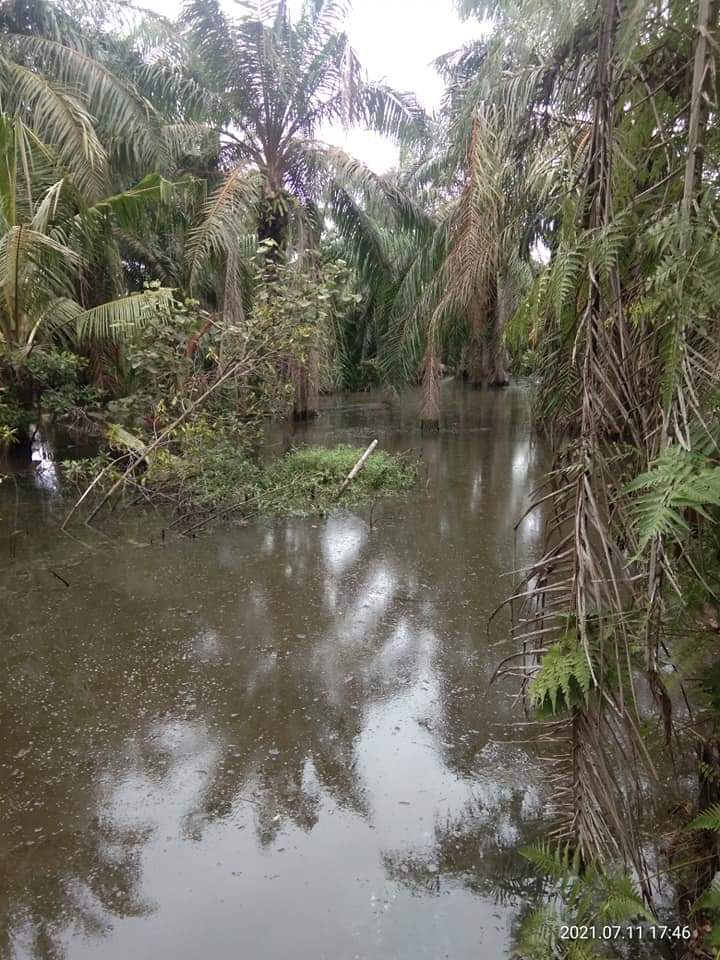 FB IMG 1626076967823