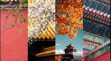 Screenshot 20190828 073243