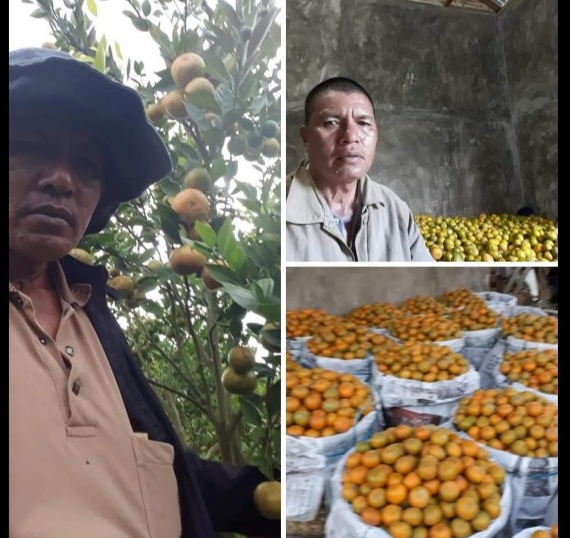 Screenshot 20200207 002224