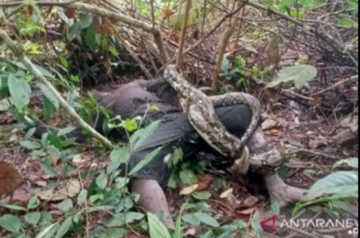 Screenshot 20200715 093610