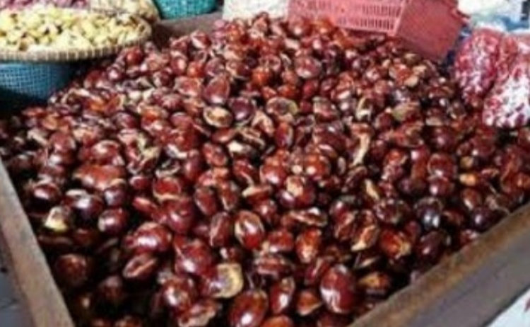 Screenshot 20200717 064623