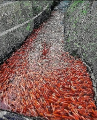 Screenshot 20200720 163717