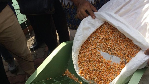 a75b43f3 f0ac 4b17 abf6 df63f5fda927 169