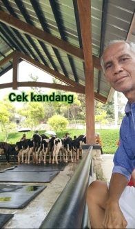 Kerugian Bukan Kegagalan Tetapi Biaya Bisnis 