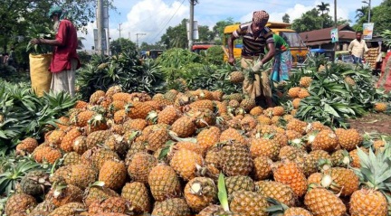 Banyak Dijual di Jalan, Buah Ini Ternyata Penangkal Asam Urat