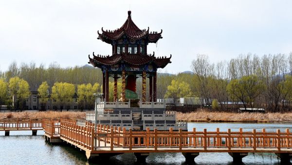 52d11686b6d345ff9ae81d3fb1fa7d6f