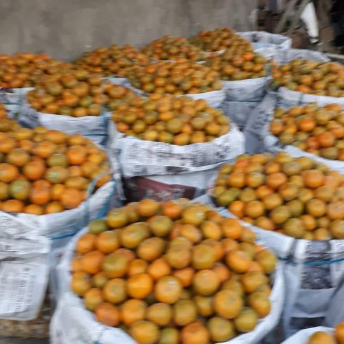 FB IMG 1581003705850